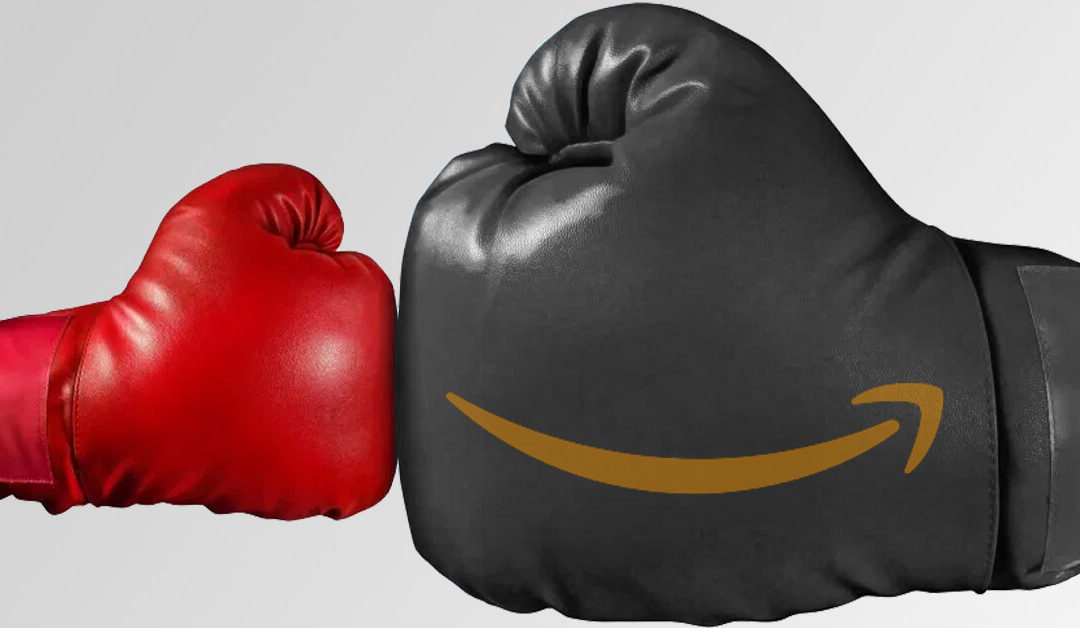 Competere con Amazon: 5 consigli per le piccole attività commerciali